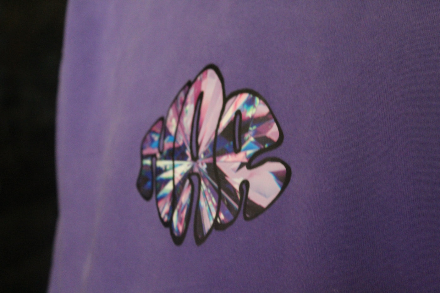 NAR 350gsm Oversized Cotton Logo Hoodie - 'Crystal' Edition