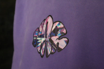 NAR 350gsm Oversized Cotton Logo Hoodie - 'Crystal' Edition