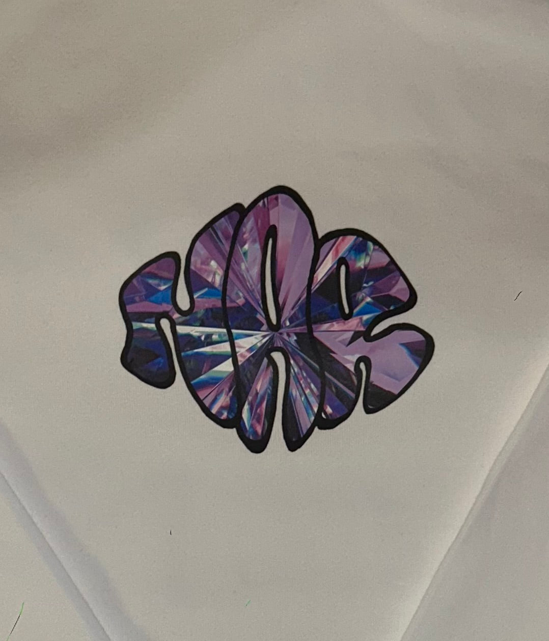 NAR 350gsm Oversized Cotton Logo Hoodie - 'Crystal' Edition