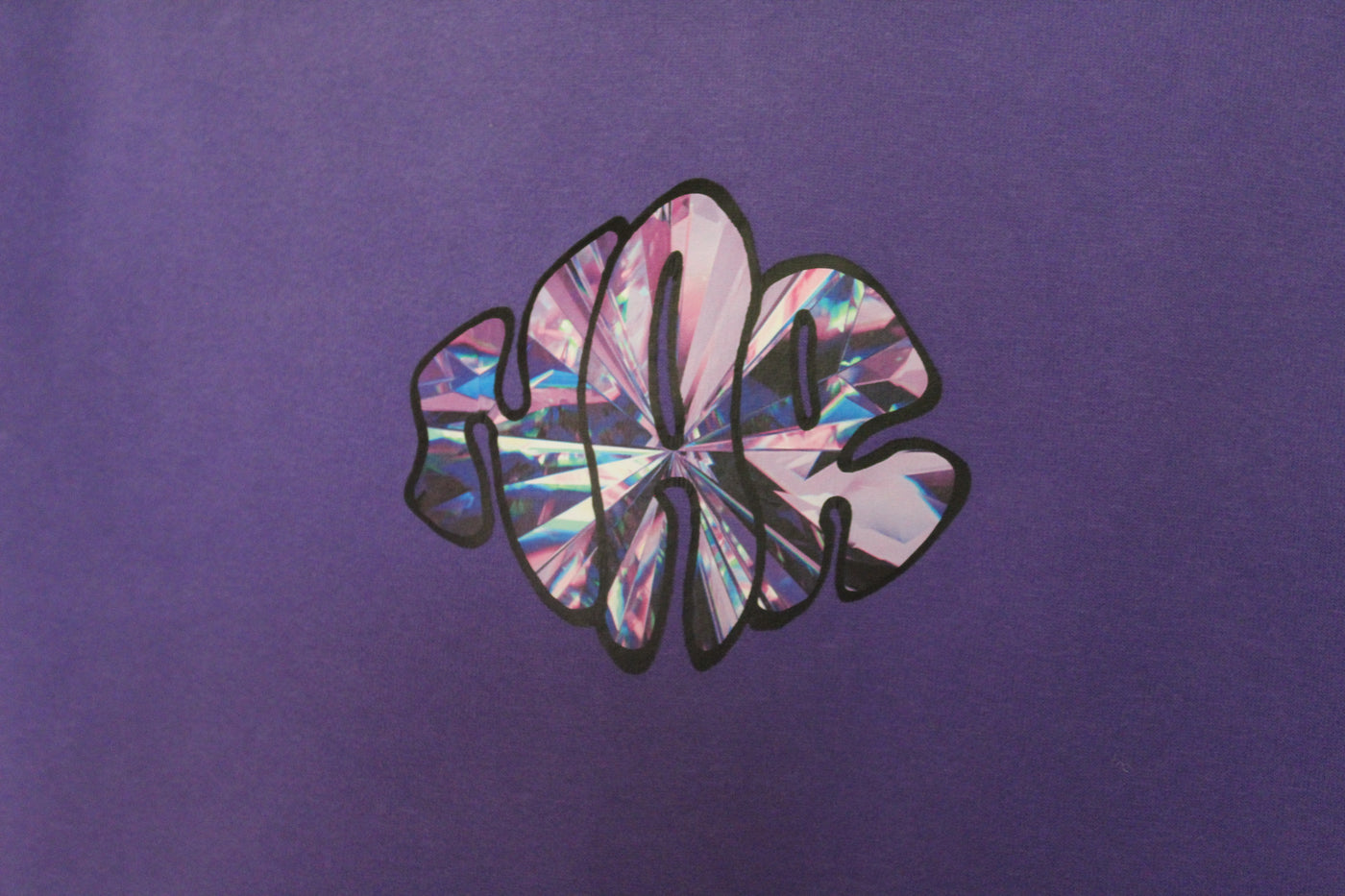 NAR 350gsm Oversized Cotton Logo Hoodie - 'Crystal' Edition