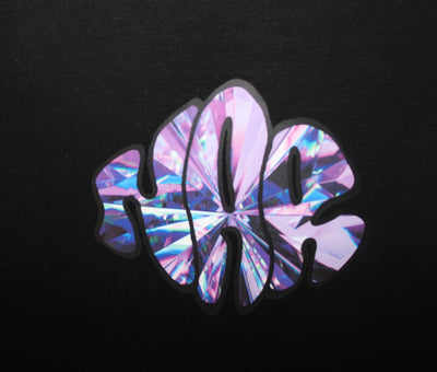 NAR 350gsm Oversized Cotton Logo Hoodie - 'Crystal' Edition